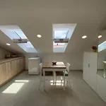 Apartament Assato *