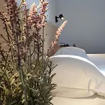 Apartament Assato *