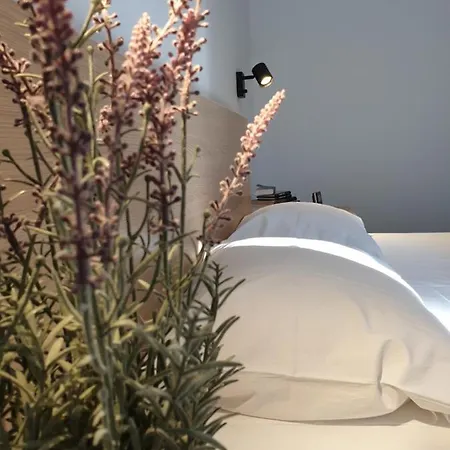Apartamento Assato *