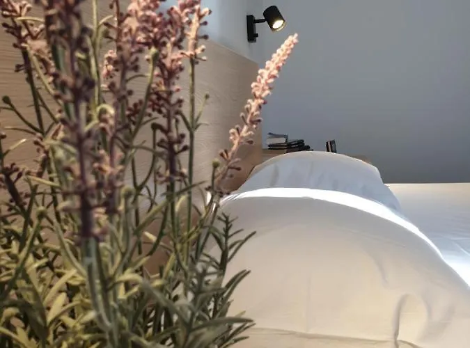 Appartement Assato *